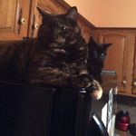 Kathy Takash Schnell - @kathy.schnell3833 - Instagram