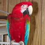 Kathy Schreck - Facebook