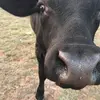 kathyschreck - @kathyschreck - TikTok
