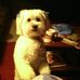 Kathy Schueller - Facebook