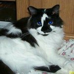 Kathy Hayden Schuster - @kmsbooboo - Instagram