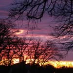 Kathy Scribner - @purplemoon2020 - Instagram