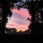 Kathy Scribner - @inlivingcolor_2020 - Instagram