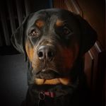 Kathy Scully - @kat_scull64 - Instagram