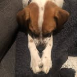 Kathy Seaton - @katseat - Instagram