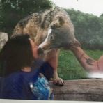 Kathy Seaton - Facebook