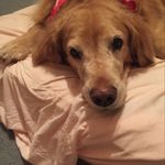 Kathy Secor - @krsecor - Instagram