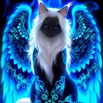 Kathy Secor - Facebook