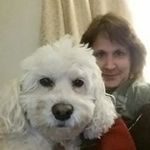 Kathy Seibert - @kathy.seibert.9 - Instagram