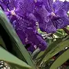 Kathy A Seiler - @kathy.a.seiler - TikTok
