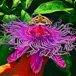 Kathy Seiler - @kathyseiler8652 - Instagram