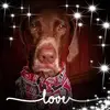 kathyseilerscalf - @kathyseilerscalf - TikTok