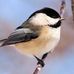 Kathy Senft - Facebook