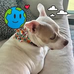 Kathy Cesareo Schlaefer Serra - @kathyserra7543 - Instagram