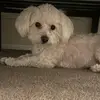 Kathy Serrano - @kathy.serrano75 - TikTok