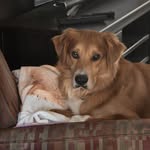 Kathy Redsetter - @kathyredsetter - Instagram