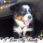 Kathy Setters - @kathysetters - Instagram