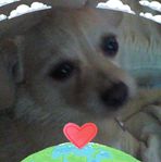 Kathy Settles - Facebook