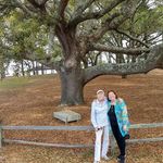 Kathy Dorn Severini - @kathy_dorn_severini - Instagram