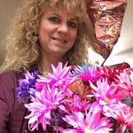 Kathy Shade Crain - @shadecrain - Instagram