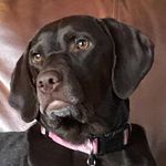 Kathy shade steele - @kathyshades - Instagram