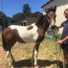 katyshallow - @katyshallow - TikTok