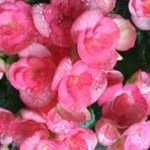 Kathy Reynolds - @kathyshare - Instagram