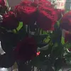 kathysharpe806 - @kathysharpe806 - TikTok