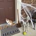 Kathy Chadwell Shimer - Facebook