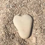 Kathy Shipman - @shipmank - Instagram
