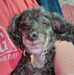 Kathy Pensyl Shively - Facebook