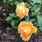Kathy Shockley - @kathy.shockley.315 - Instagram