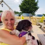Kathy Shottle - @kathyshottle - Instagram