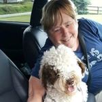 Kathy Showman - @kathyshowman - Instagram