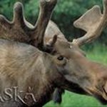 Kathy Turner Shuler - @kandldanz - Instagram