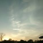 @kathyshuler65 - Instagram