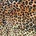Kathy Silverman - Facebook