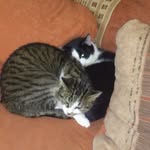 Kathy Simonis - @kathy.simonis.1 - Instagram
