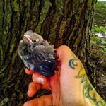 Kathy jamie sisco - @kjs_naturephotography - Instagram