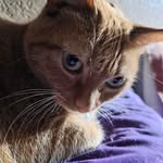 Kathy Sisco - @kdlives26 - Instagram
