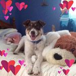 Kathy Sisco Bridgman - @kathybridgman - Instagram