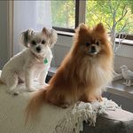 Kathy Six Nevel - @kathy.nevel - Instagram