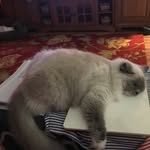 Kathy Slate Ervin - @nealkat50 - Instagram