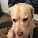 Kathy Slater - @kathyslater8 - Instagram