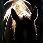 Kathy Slattery - @kathy.goodyear - Instagram