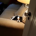 Kathy Slattery - @kathy_slattery - Instagram