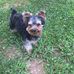 Kathy Slaughter - Facebook