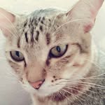 Kathy Sly - @kathy_sly74 - Instagram