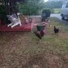 Kathy Small - @kathy.small3 - TikTok