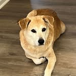 Kathy Small - @small24172 - Instagram